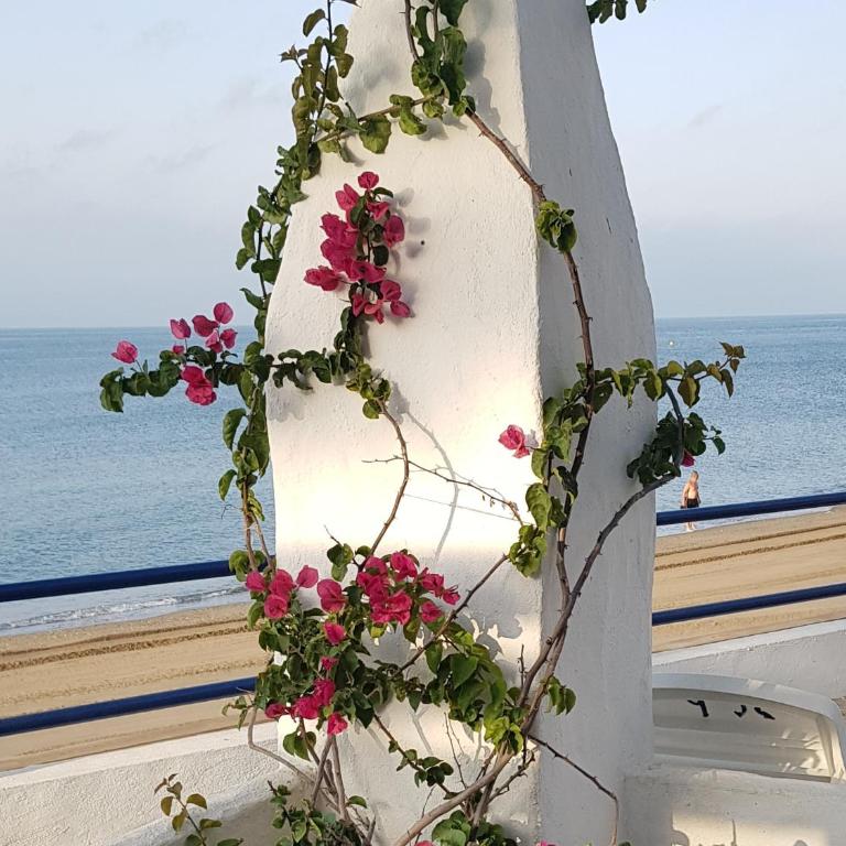 ELENA flat A little paradise right on the BEACH - Apartamento - 42