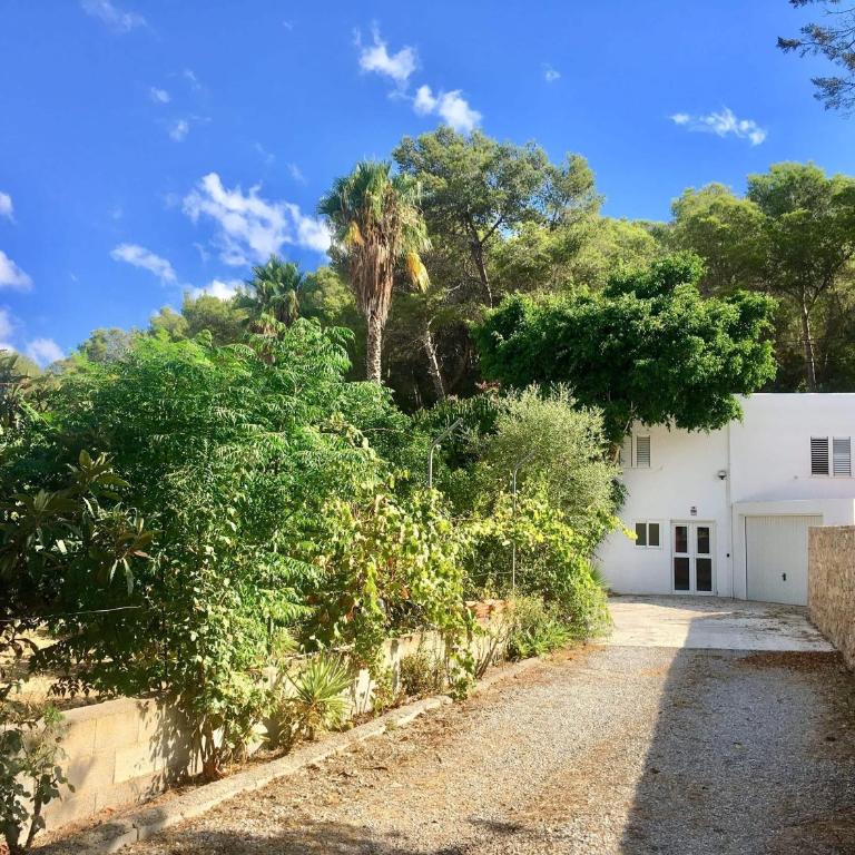 Villa Alexa this charming villa is just a 10 min drive to either Playa Den Bossa or San Antonio - Villa de 3 dormitorios - 7