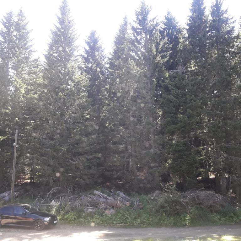 KAMENA 6 - One-Bedroom Apartment - 3