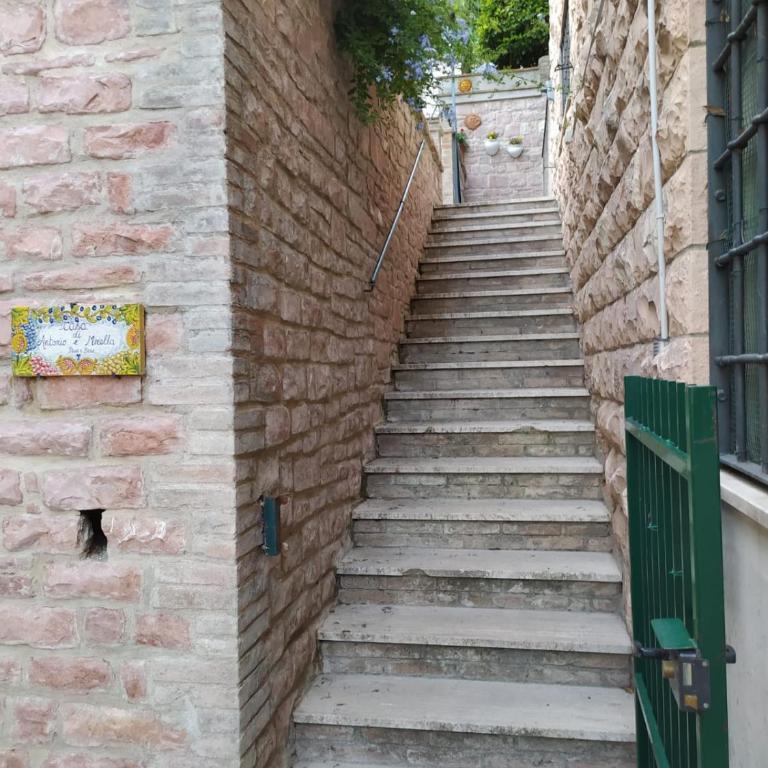 Eden House - Appartamento - 20
