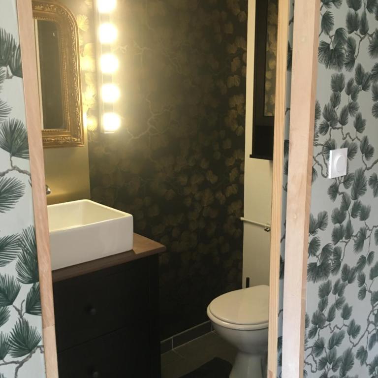 Charmant appartement sur cour, Le Berlingott - Apartment mit 1 Schlafzimmer - 19