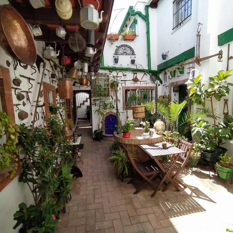 Casa Museo Jerez Centro - Apartamento de 1 dormitorio - 1
