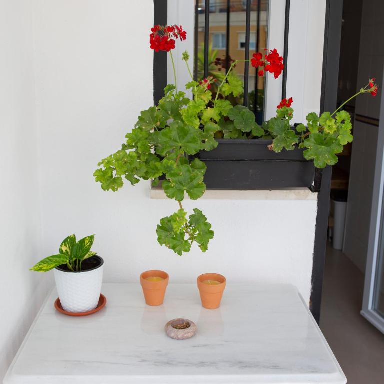 Puerto Deportivo Estepona - Apartamento con vistas al mar - 7