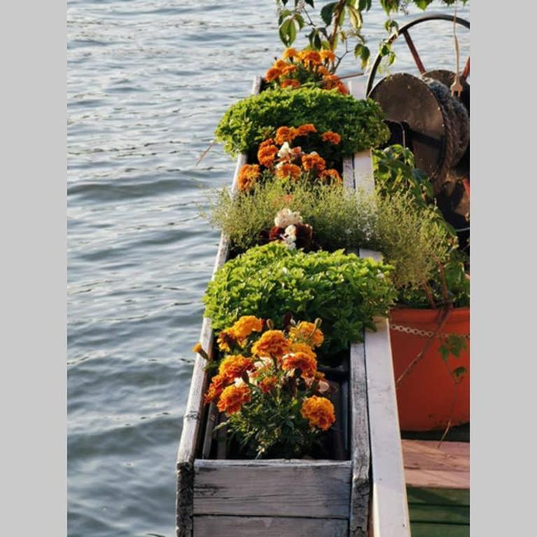 En ChillAda River house - Kuća sa 1 Spavaćom Sobom - 28