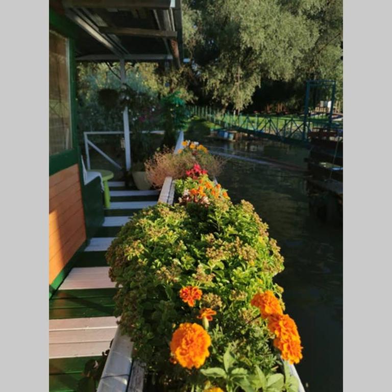 En ChillAda River house - One-Bedroom House - 32