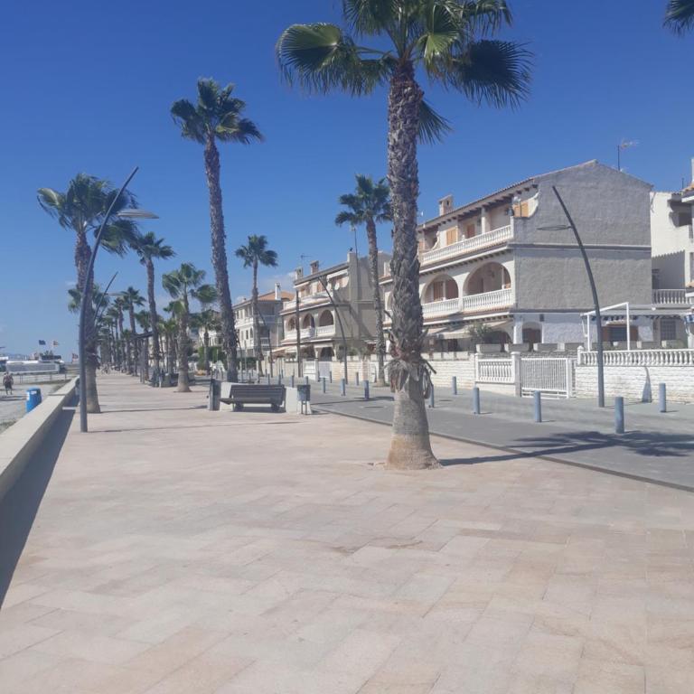 Apartamento Santa Pola, en Playa del Tamarit con piscina. - Apartamento de 2 dormitorios - 45