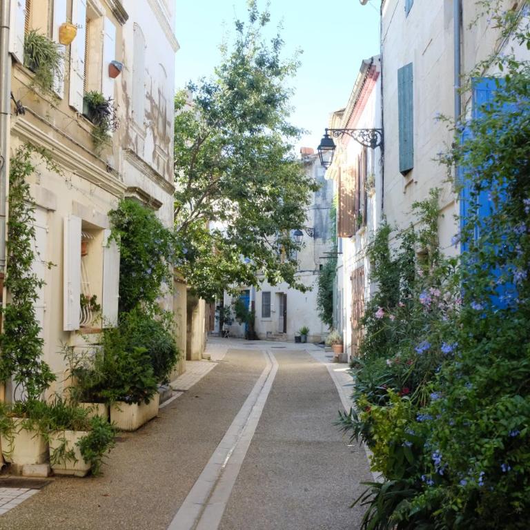 Maison avec terrasse à Arles, Provence - Three-Bedroom House - 39