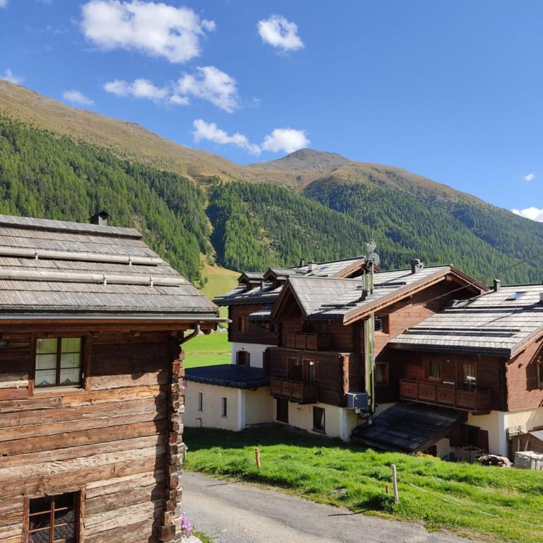 Fior d'Alpe Apartment - Appartamento con Balcone - 8