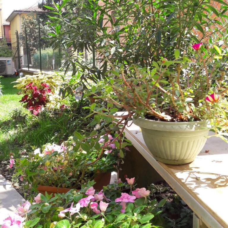 Appartamenti Borghetto San Donato 105 - Apartment with Garden View - 13