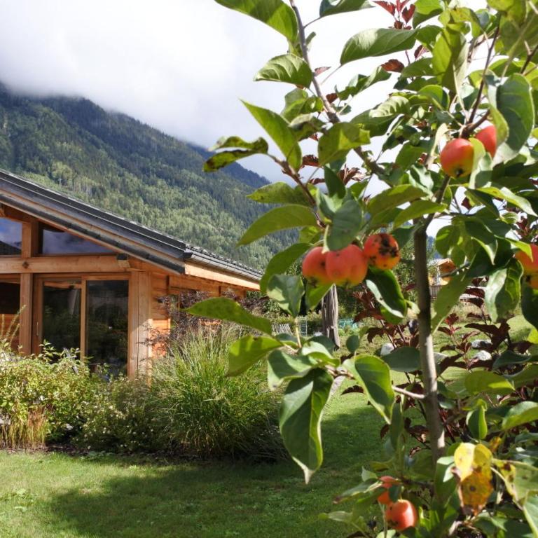 Grand chalet Le Trappeur - Chamonix - Chalet - 95