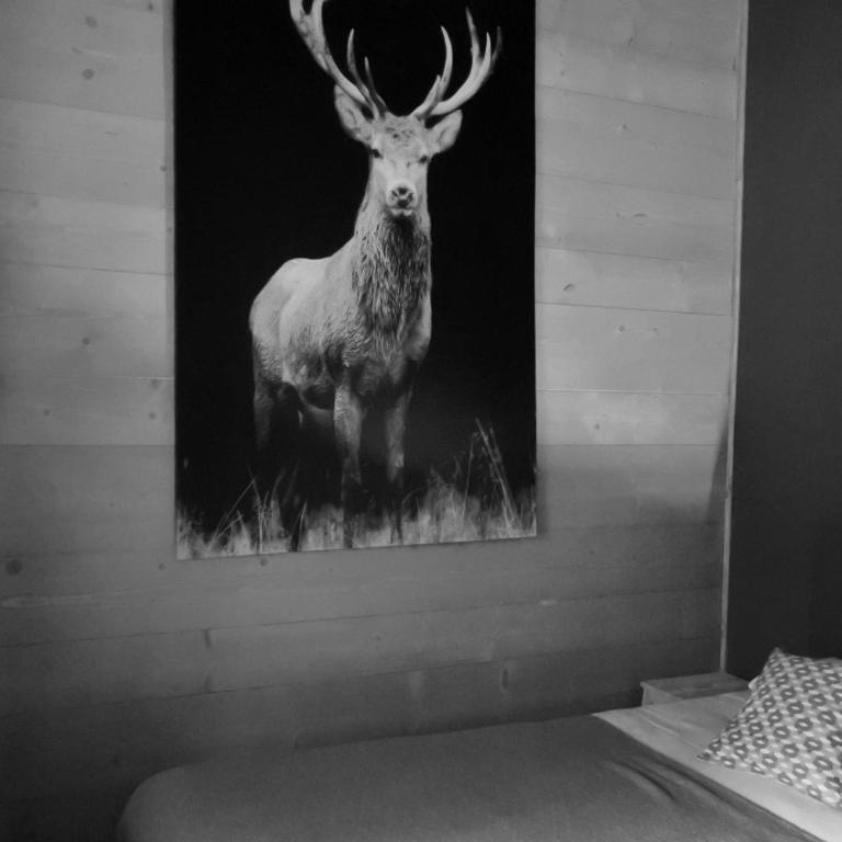 Grand chalet Le Trappeur - Chamonix - Chalet - 76