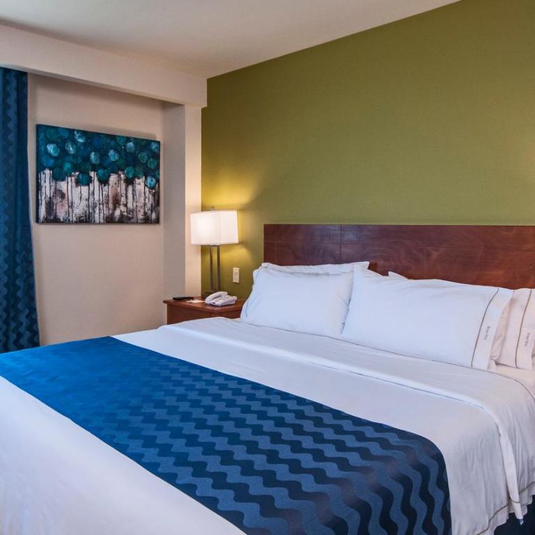Holiday Inn Express Cabo San Lucas by IHG - Habitación Doble Estándar con cama grande - adaptada para personas de movilidad reducida - 7