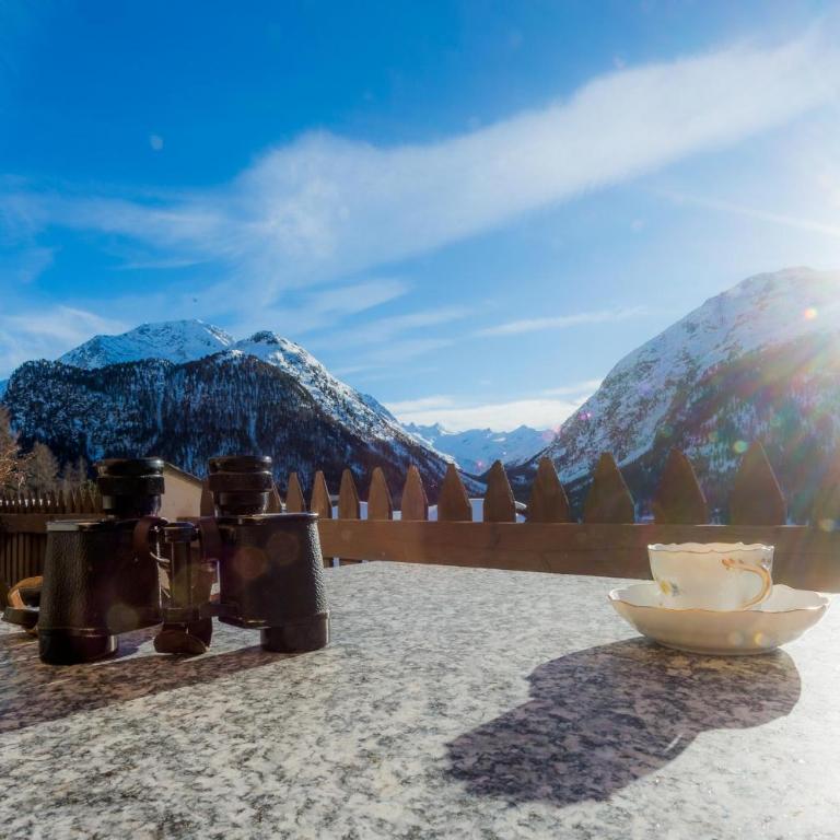 Abitaziun Murinella - Pontresina - Apartment mit Blick auf die Berge - 23