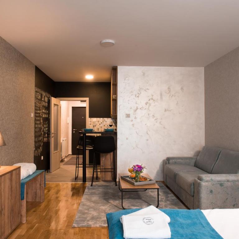 Magellan Family Lux Apartments Novi Sad - Studio s King-sajz Krevetom i Sofom na Izvlačenje - 12