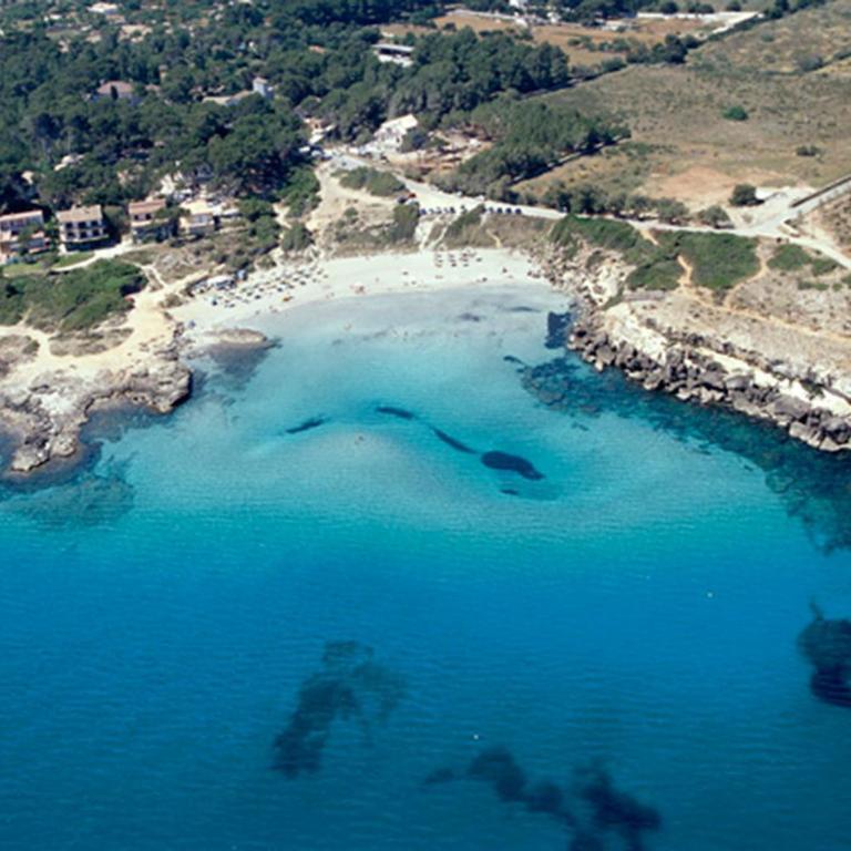 Villa Camila para 7 junto a playa de Sant Pere - Villa de 3 dormitorios - 42