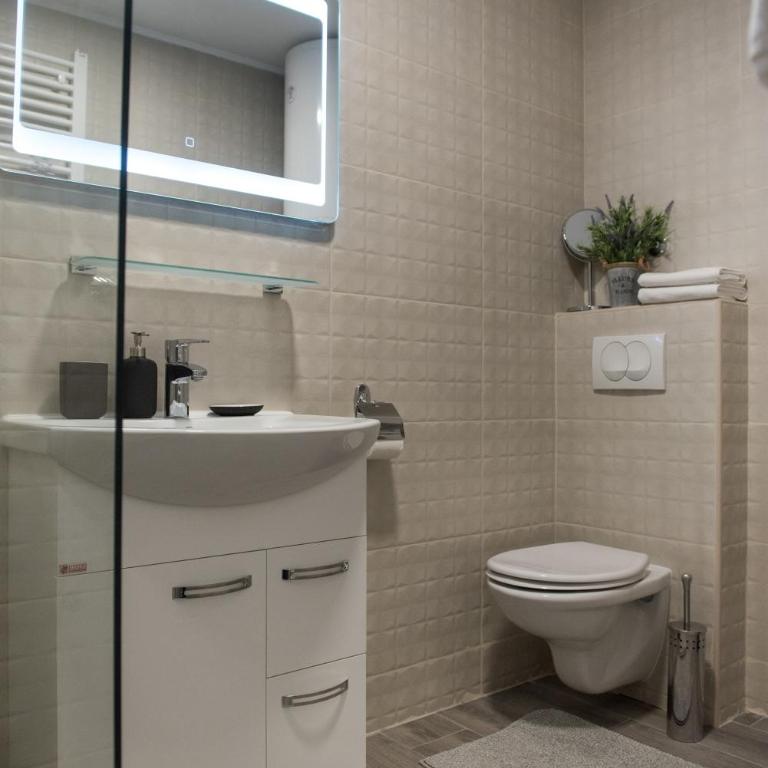 Magellan Family Lux Apartments Novi Sad - Studio s King-sajz Krevetom i Sofom na Izvlačenje - 17