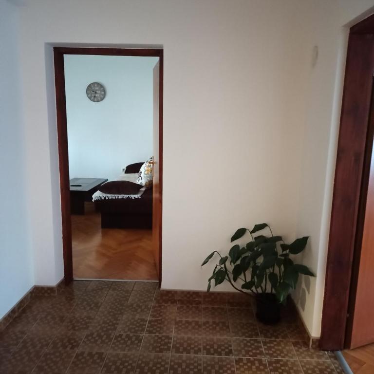 Apartman Mima - Apartman sa 1 Spavaćom Sobom - 6