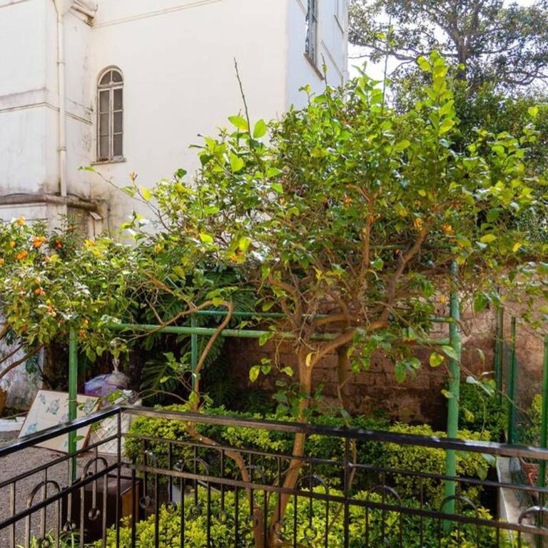 Casa Milena - Appartamento con 3 Camere da Letto - 17