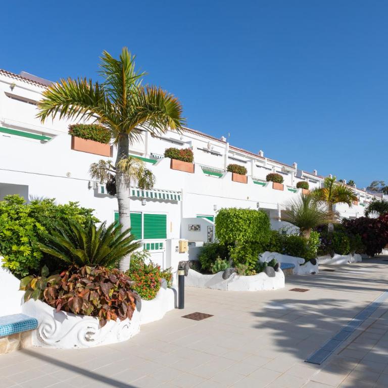 Live Costa del Silencio Don José 204 - Apartamento de 1 dormitorio - 15