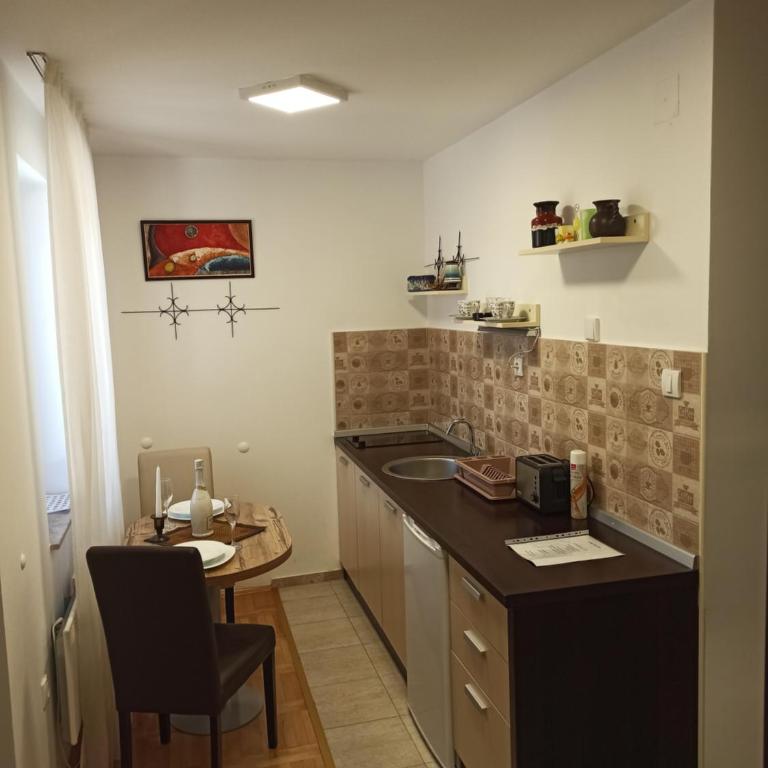 Apartman Filip-Vila Zlatiborski andjeo Zlatibor - Apartman sa 1 Spavaćom Sobom - 10