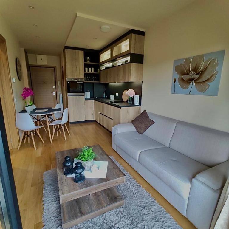 Apartman M&L - Apartman sa 1 Spavaćom Sobom - 10