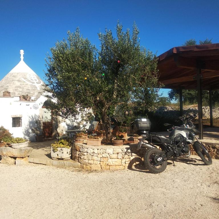 Piccolo Trullo Ostunese Le Jardin de Sophie' Centre de massage holistique - Appartamento con Vista Giardino - 37