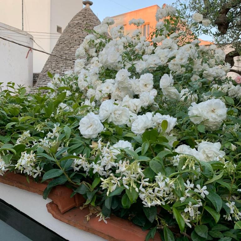 Trulli MADIA Luxury Alberobello - Suite Trullo con Vasca Idromassaggio - 22