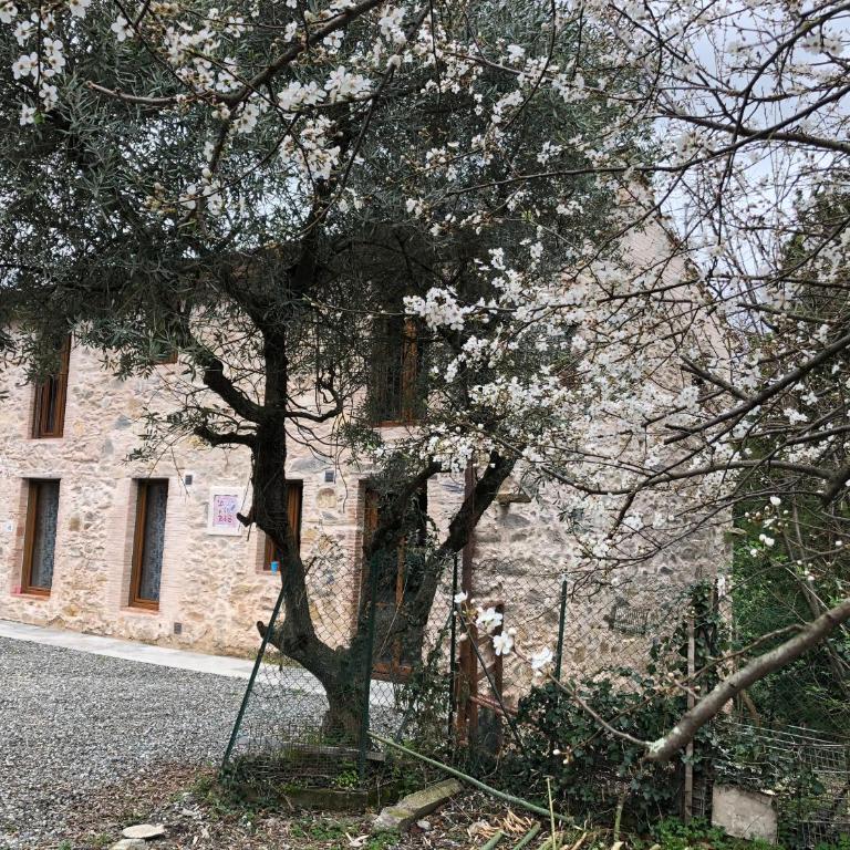 DOLCE VITA IN TUSCANY Cottage - Casa con 1 Camera da Letto - 10