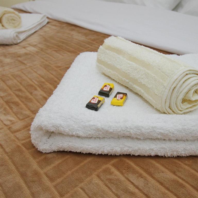 Vila Pekovic green-Apartman PAMA - Apartman sa 2 Spavaće Sobe - 31