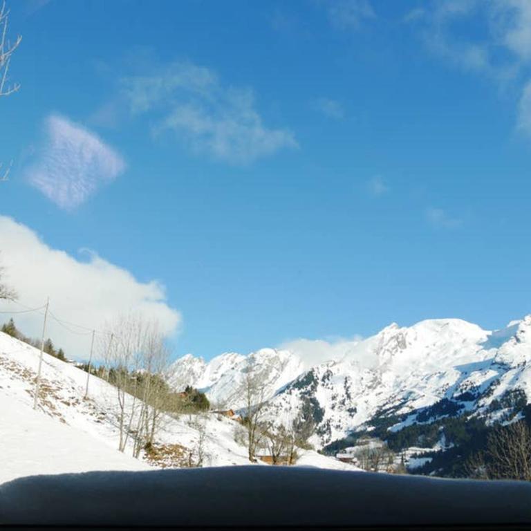chalet coup de coeur+véhicule 4*4 ; 9 places à dispo - Maison 5 Chambres - 40