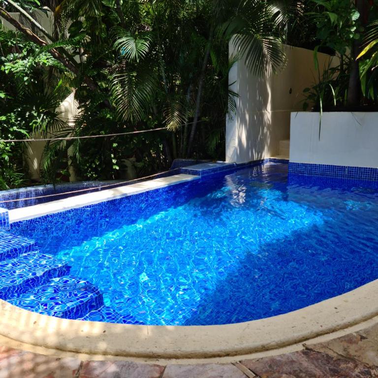 Luxury Villa steps to the beach & 5ta av, AMAZING - Villa mit 1 Schlafzimmer - 17