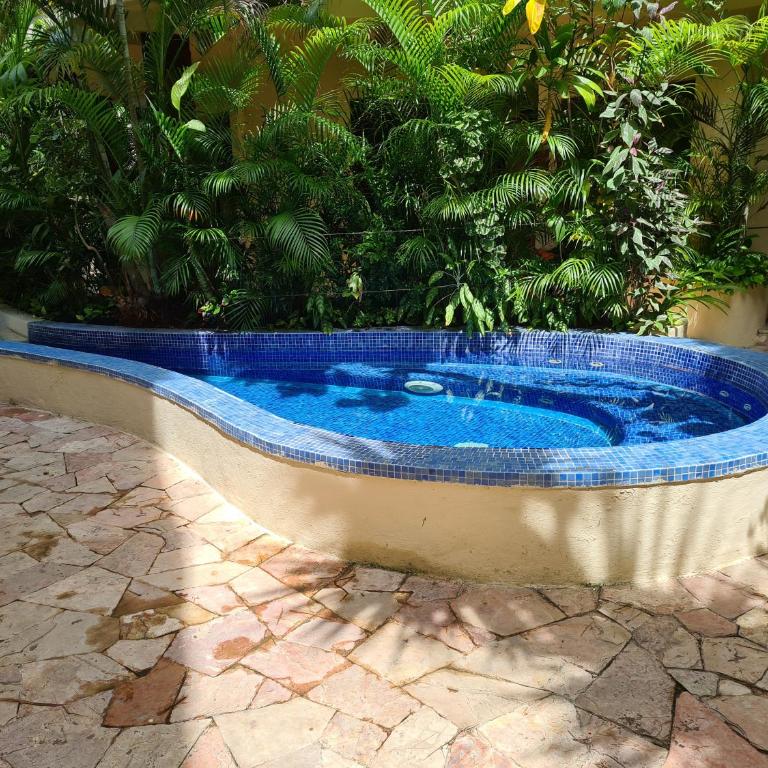 Luxury Villa steps to the beach & 5ta av, AMAZING - Villa mit 1 Schlafzimmer - 11