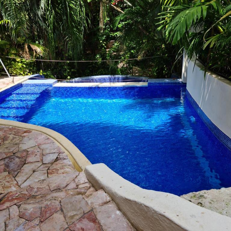 Luxury Villa steps to the beach & 5ta av, AMAZING - Villa mit 1 Schlafzimmer - 10