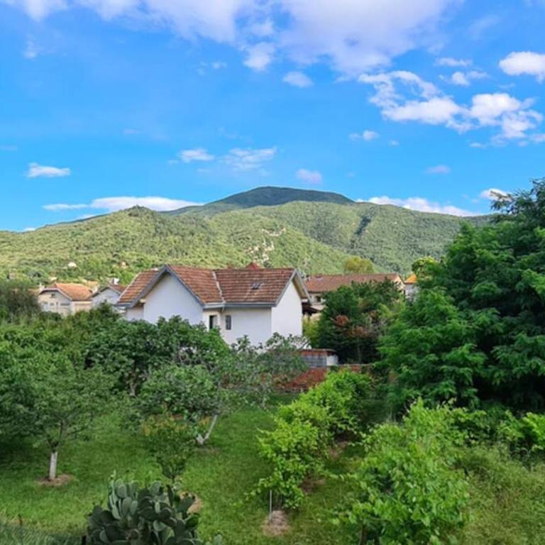 Amélie-les-Bains-Palalda Résidence Las Hortes - Studio - Vue sur Montagne - 14