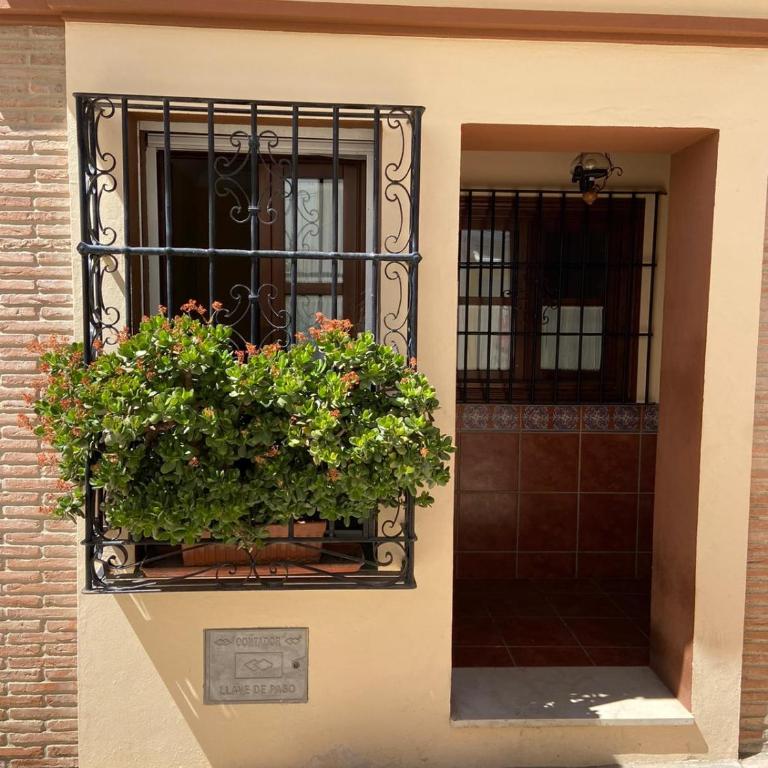 Ramón y Cajal - Casa de 3 dormitorios - 7