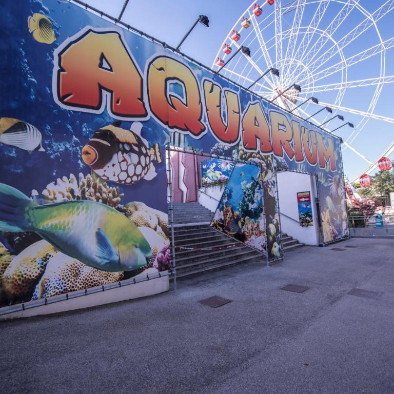 Torino - Appartamento con 1 Camera da Letto - 20