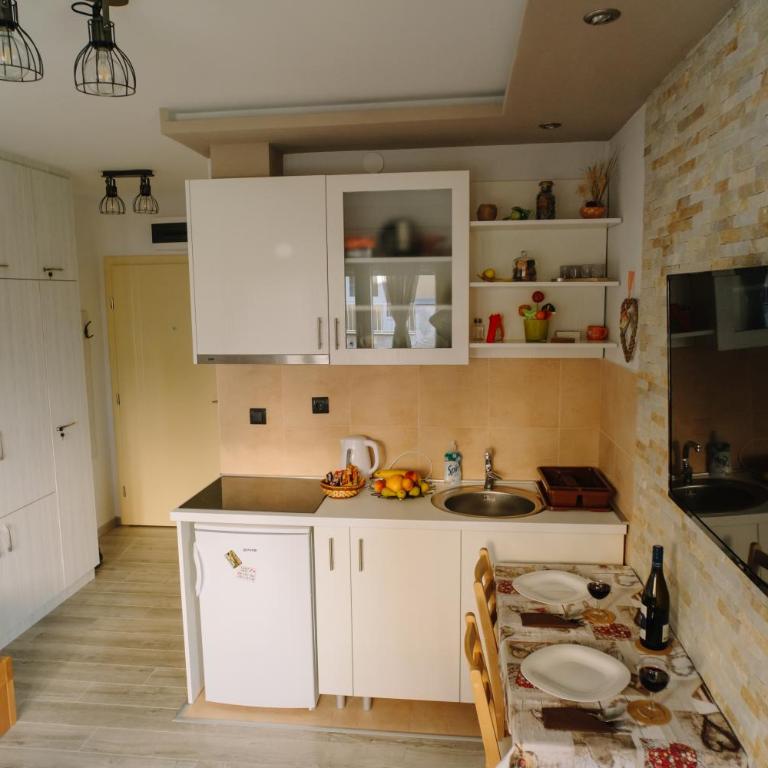 Apartman Ristić - Studio sa Terasom - 7