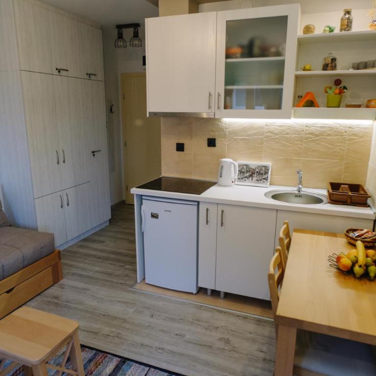 Apartman Ristić - Studio sa Terasom - 10