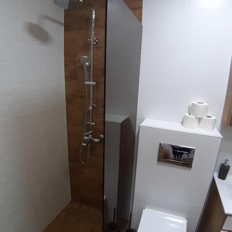 Serbian home, Gandijeva 162 - Apartman sa 2 Spavaće Sobe - 14