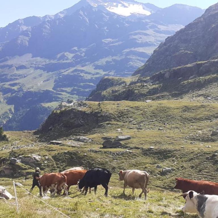 Casa Giulia - Appartamento con Vista Montagna - 27