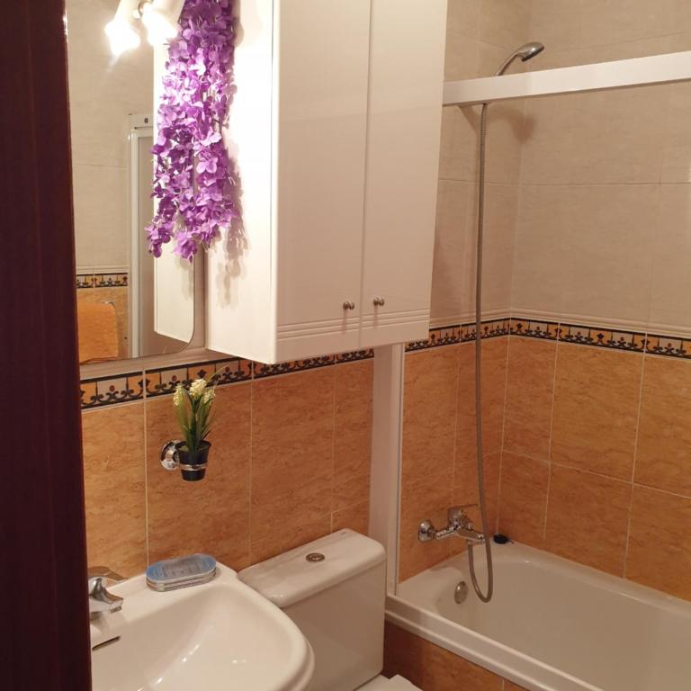 Apartamentos Dana Sol - Apartment with Balcony - 3