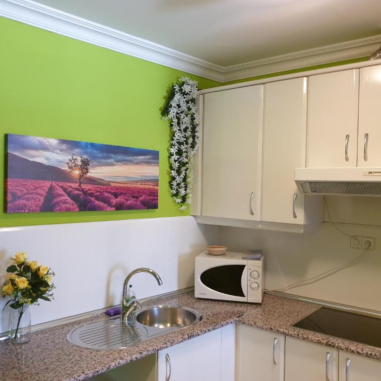 Apartamentos Dana Madrid - One-Bedroom Apartment - 2