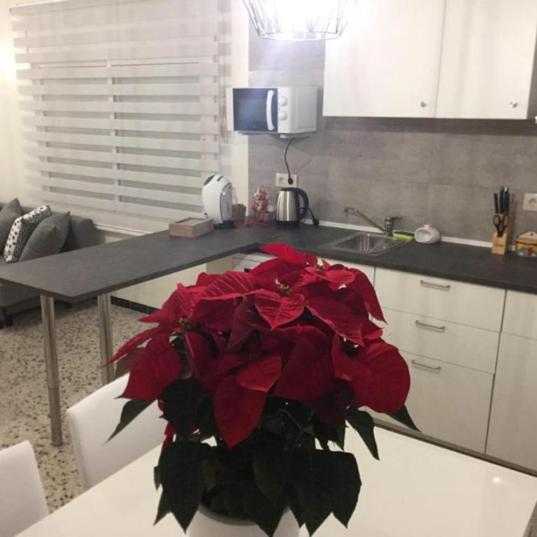 LA TERRASSETA - One-Bedroom Apartment - 3