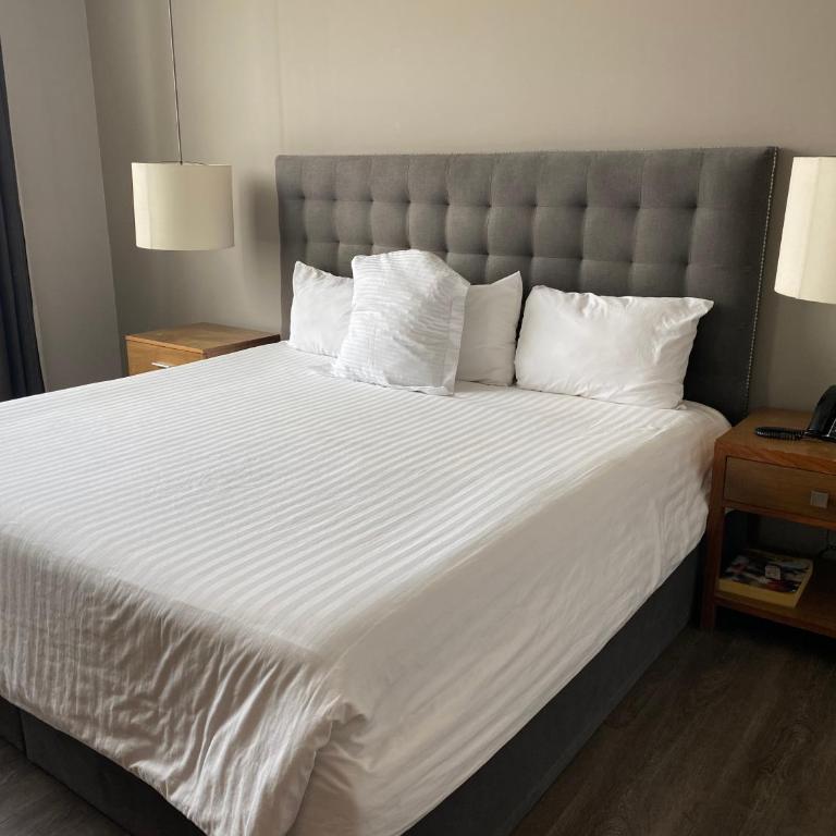 Suites Del Ángel - Suite Estándar - 11