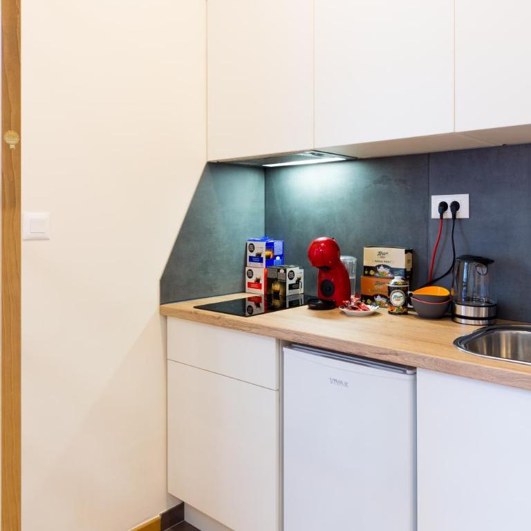 APARTMANI DOLINA SUNCA - One-Bedroom Apartment - 26