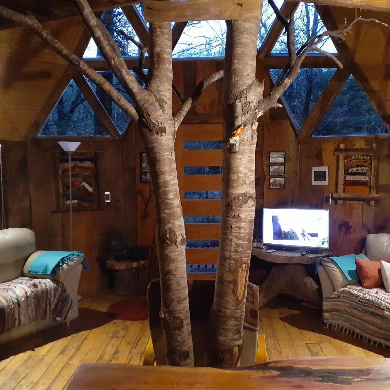 Domos Entre Bosques - Bungalow Familiar - 1