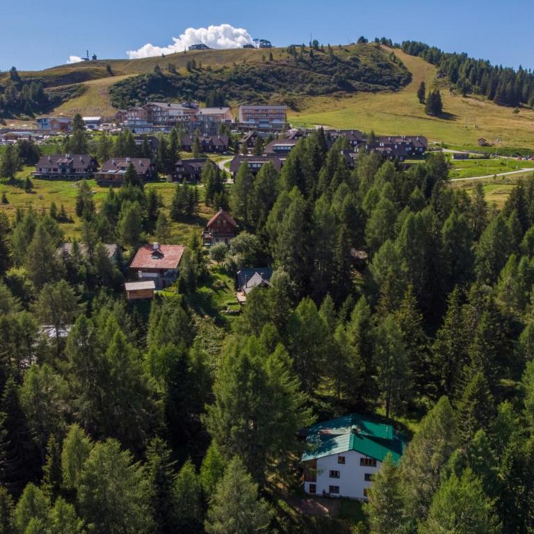 Hütte Gerlitzen RegioJet Hotels&Cottages - Four-Bedroom Chalet - 19
