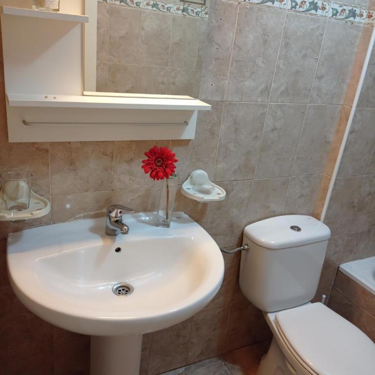Mafasca, comodo e silenzioso, terrazza e cortile, WI-Fi - Apartamento de 2 dormitorios - 15