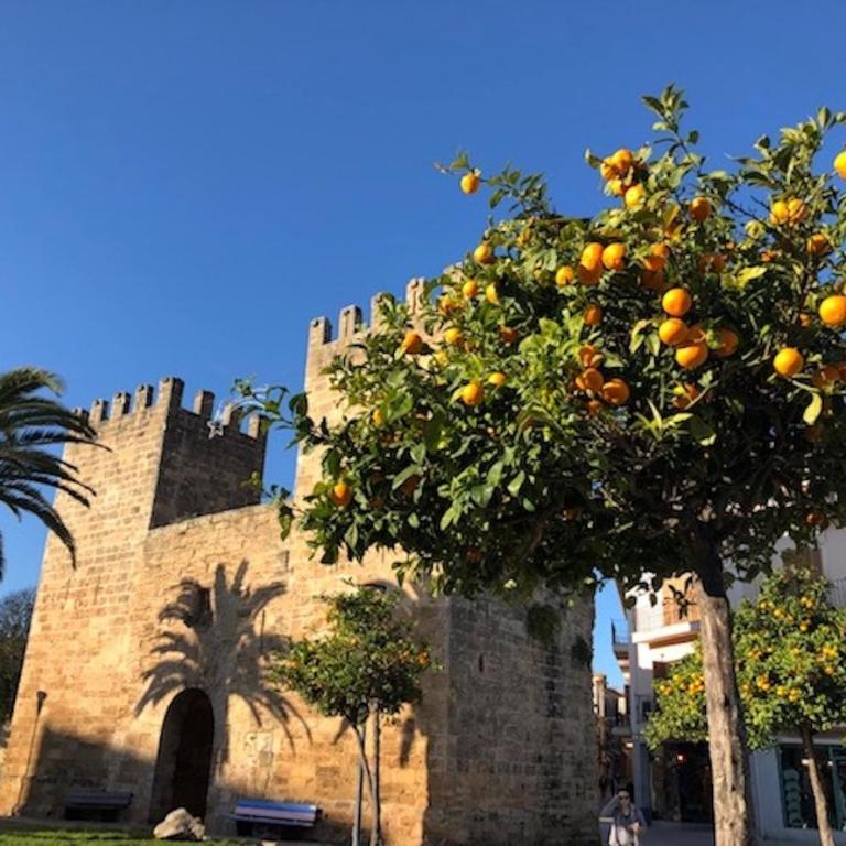 Casa Sa Pedra, en el Centro Histórico de Alcudia - Casa de 4 dormitorios - 30