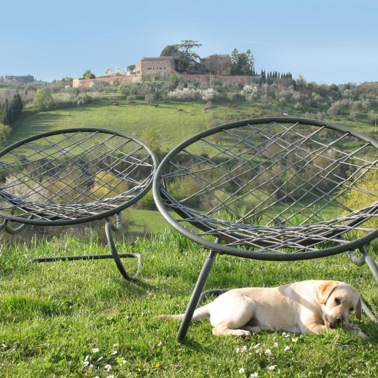 Agriturismo La Torretta - apt 4rooms with pool - Four-Bedroom Apartment - 7
